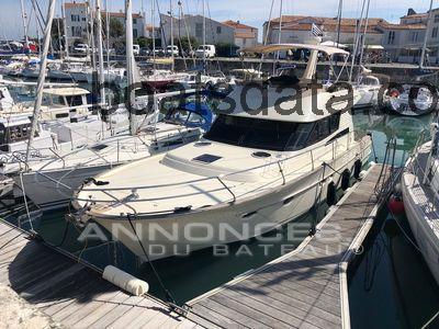 ACM Dynasty 43 ficha tecnica 