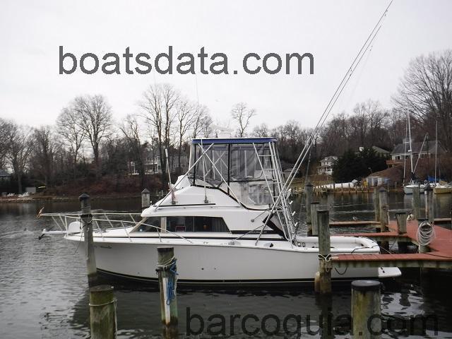 Bertram 33 ficha tecnica