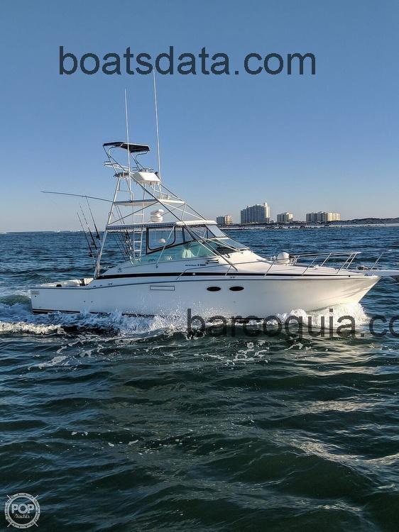 Bertram 38 Special ficha tecnica