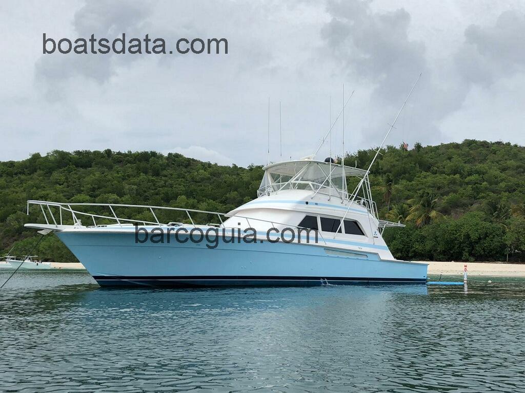 Bertram 60 Convertible ficha tecnica