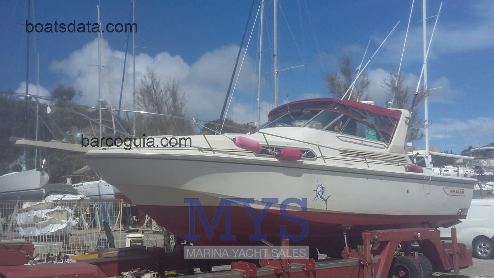 Boston Whaler 31 avaliação e ficha técnica
