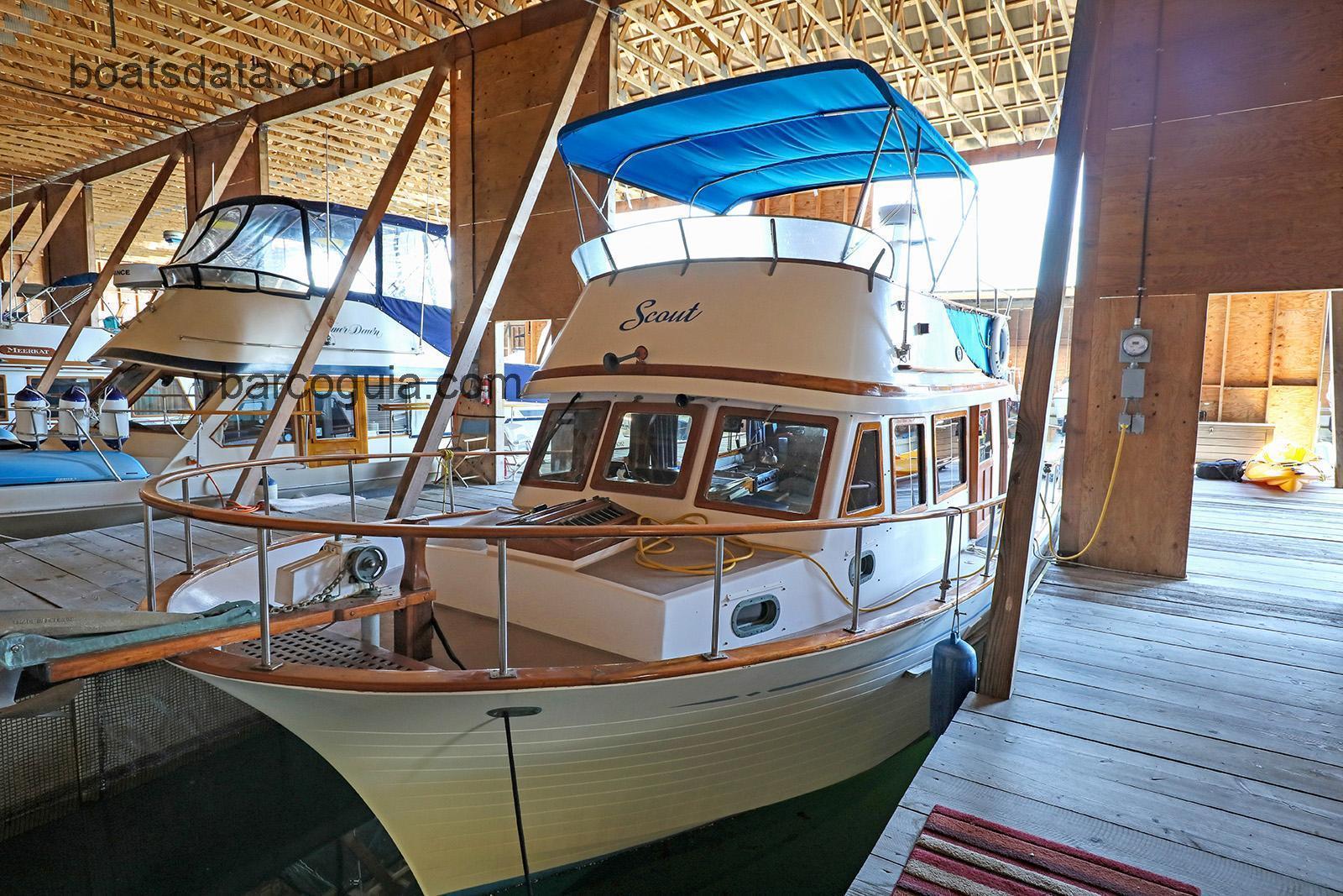 Grand 36 ficha tecnica 