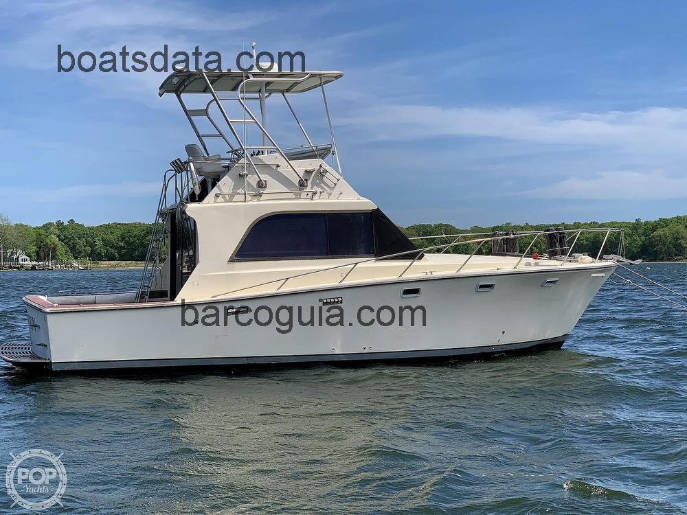 Pacemaker 36 ficha tecnica