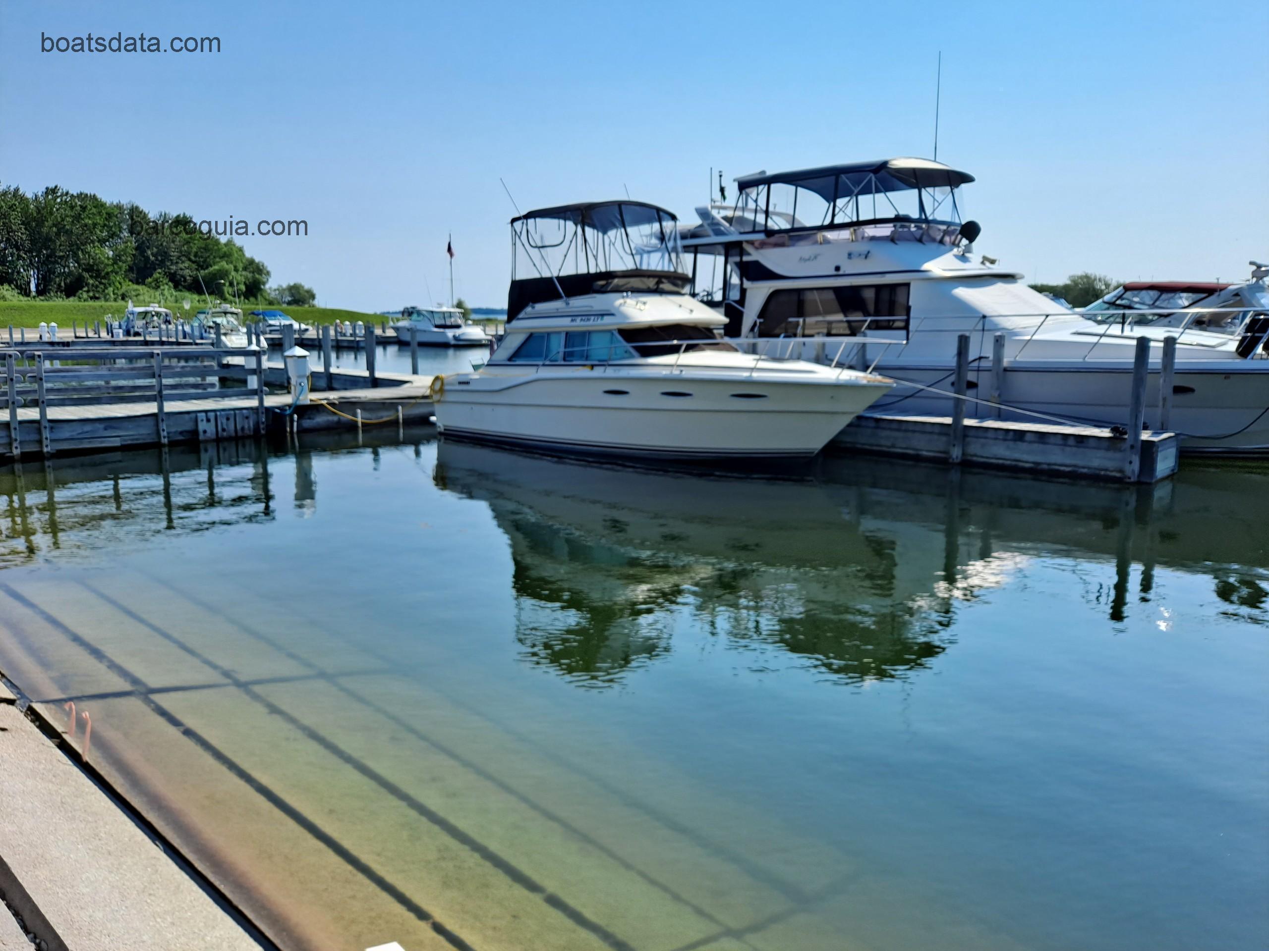 Sea Ray 300 Sedan Bridge ficha tecnica