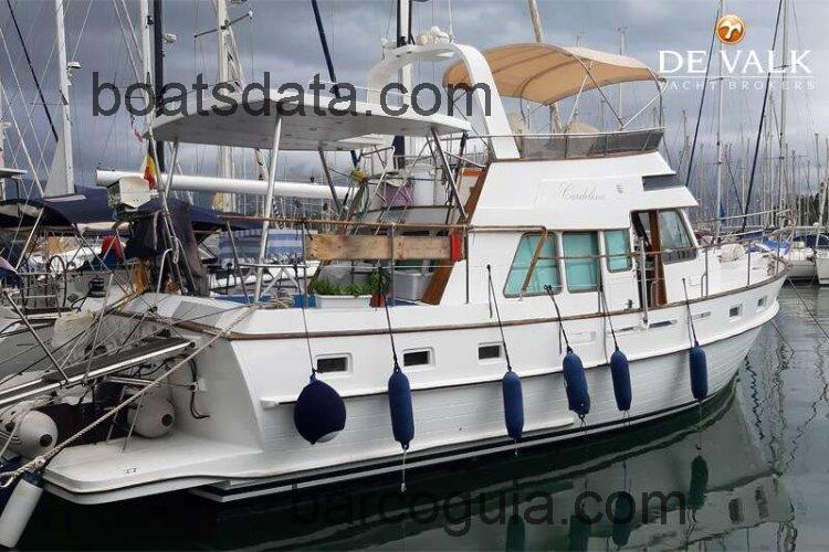 Tayana 42 avaliação e ficha técnica