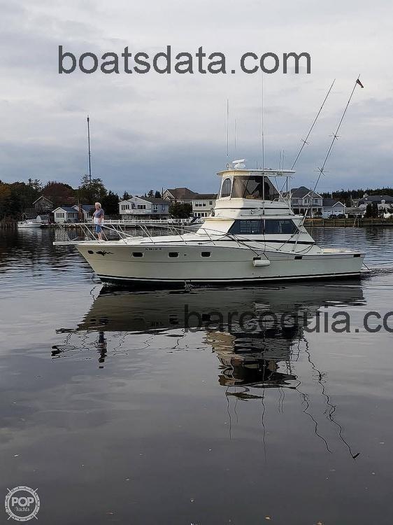 Viking 40 ficha tecnica