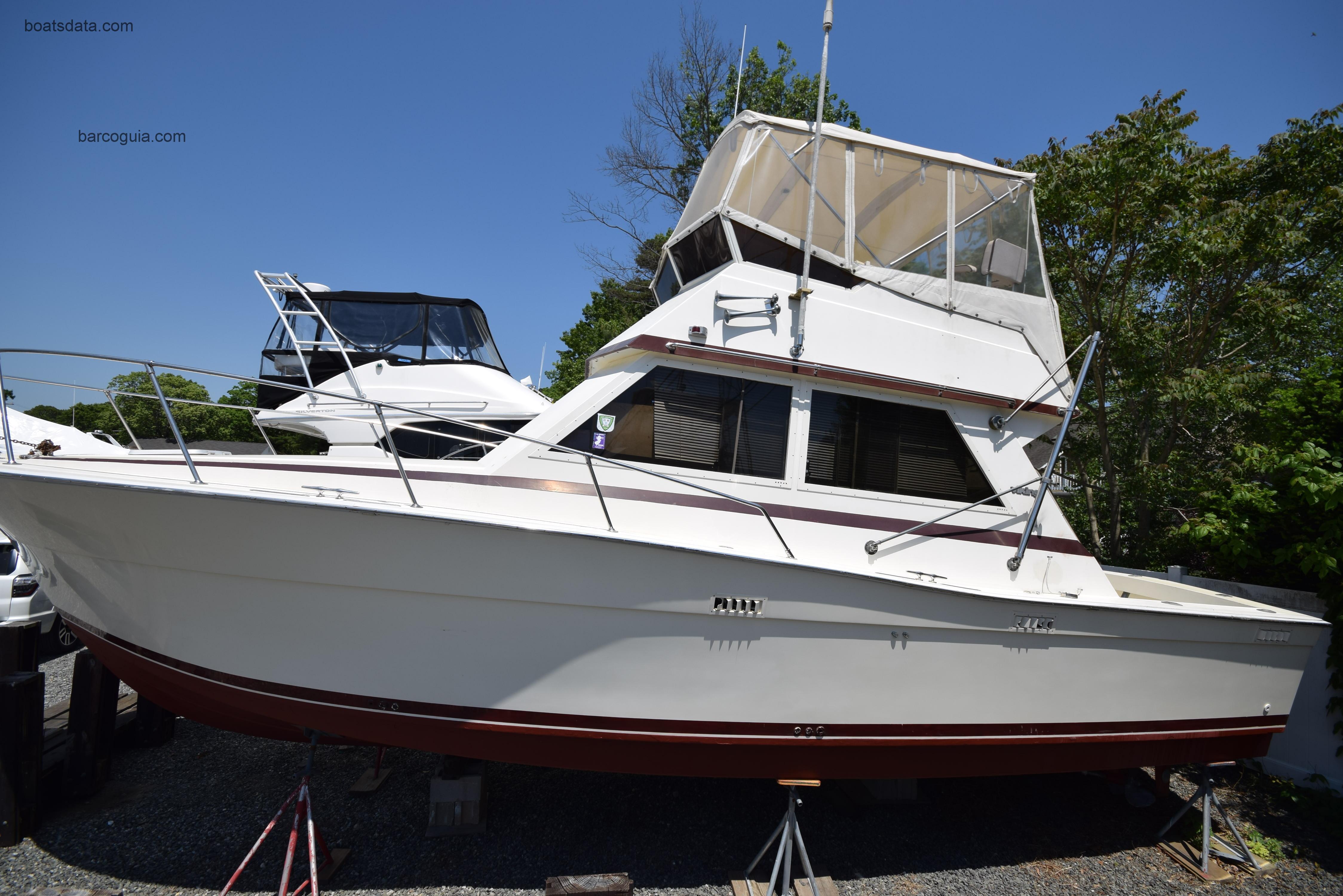 Viking Convertible avaliação e ficha técnica